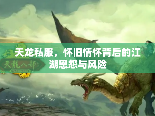 天龙私服，怀旧情怀背后的江湖恩怨与风险