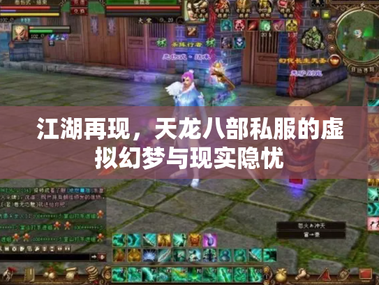 江湖再现，天龙八部私服的虚拟幻梦与现实隐忧