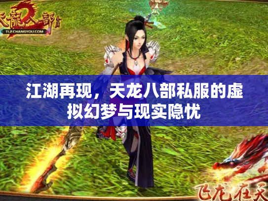 江湖再现，天龙八部私服的虚拟幻梦与现实隐忧