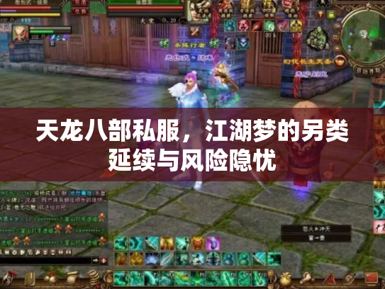 天龙八部私服，江湖梦的另类延续与风险隐忧