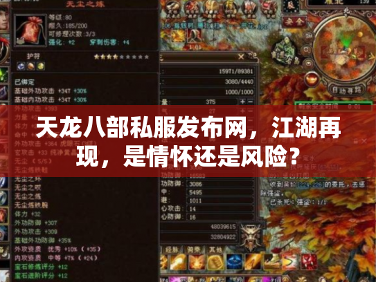 天龙八部私服发布网，江湖再现，是情怀还是风险？