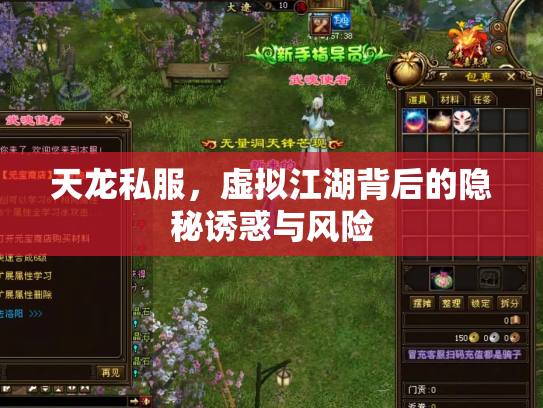 天龙私服，虚拟江湖背后的隐秘诱惑与风险