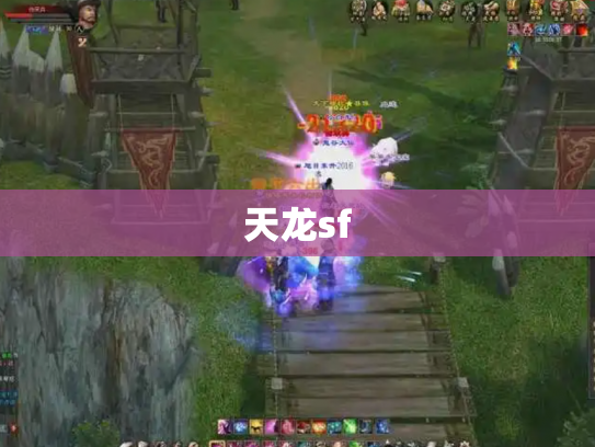 天龙sf