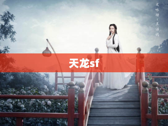 天龙sf