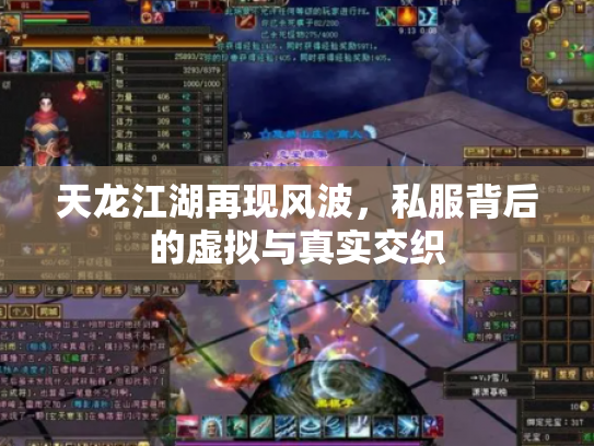 天龙江湖再现风波，私服背后的虚拟与真实交织