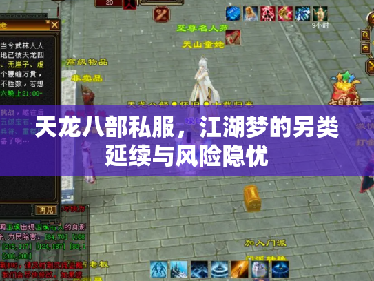 天龙八部私服，江湖梦的另类延续与风险隐忧