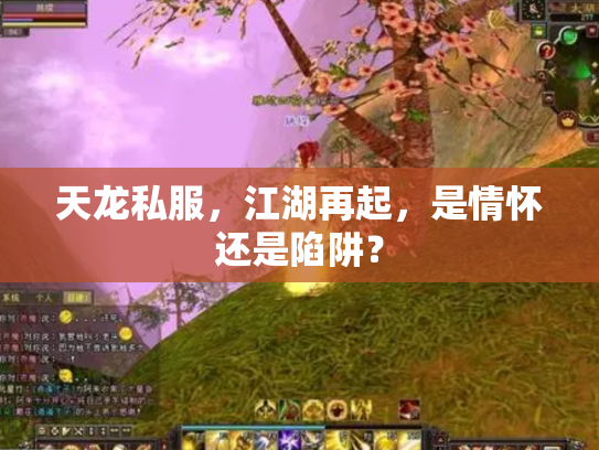 天龙私服，江湖再起，是情怀还是陷阱？