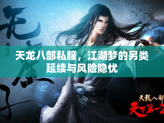 天龙八部私服，江湖梦的另类延续与风险隐忧