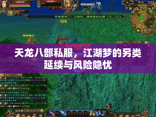 天龙八部私服，江湖梦的另类延续与风险隐忧