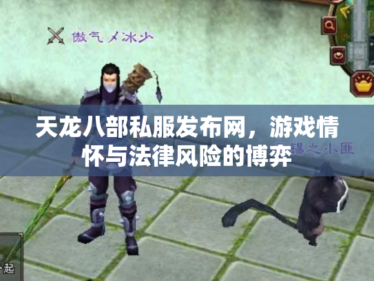 天龙八部私服发布网，游戏情怀与法律风险的博弈