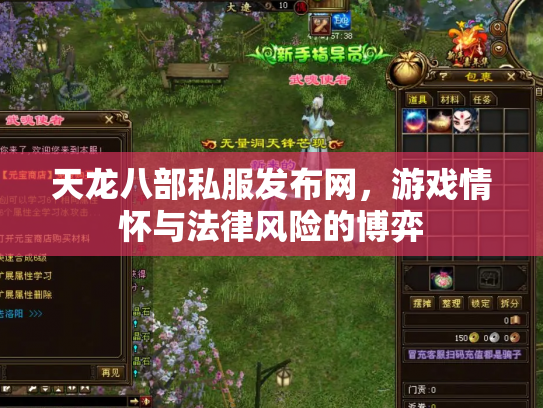 天龙八部私服发布网，游戏情怀与法律风险的博弈