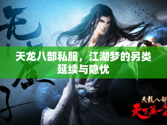 天龙八部私服，江湖梦的另类延续与隐忧