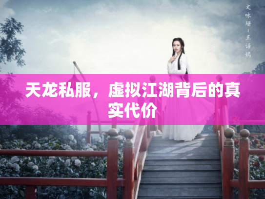 天龙私服，虚拟江湖背后的真实代价