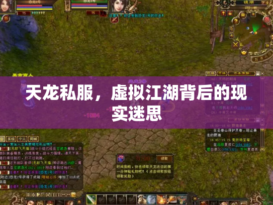 天龙私服，虚拟江湖背后的现实迷思