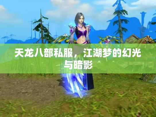天龙八部私服，江湖梦的幻光与暗影