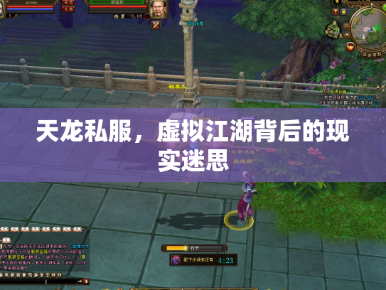 天龙私服，虚拟江湖背后的现实迷思