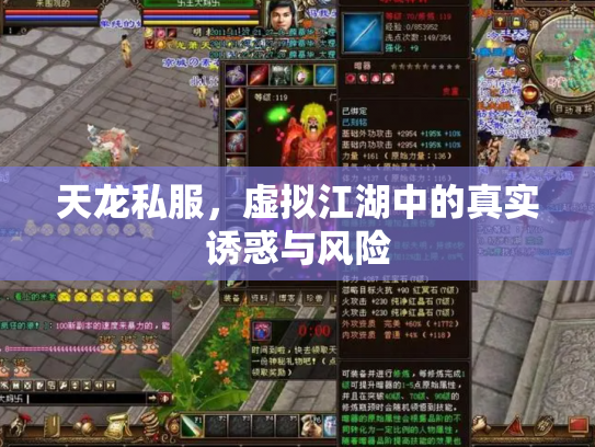 天龙私服，虚拟江湖中的真实诱惑与风险