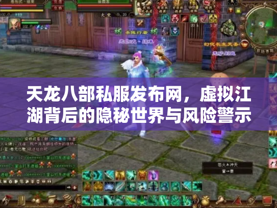 天龙八部私服发布网，虚拟江湖背后的隐秘世界与风险警示