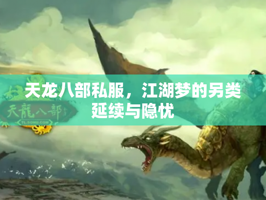 天龙八部私服，江湖梦的另类延续与隐忧