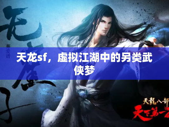 天龙sf，虚拟江湖中的另类武侠梦