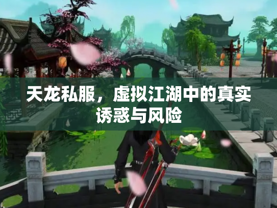 天龙私服，虚拟江湖中的真实诱惑与风险