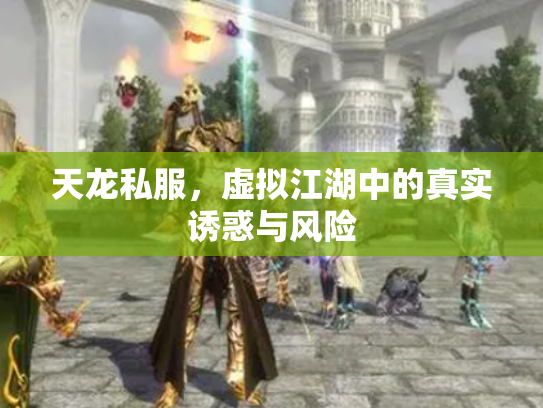 天龙私服，虚拟江湖中的真实诱惑与风险