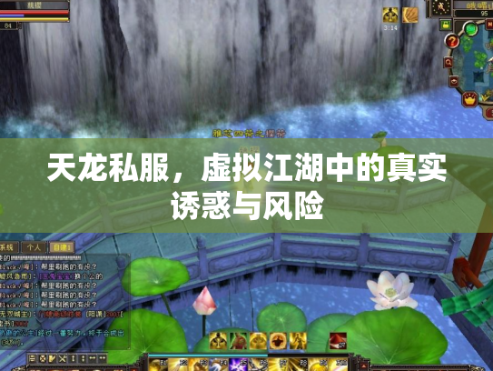 天龙私服，虚拟江湖中的真实诱惑与风险