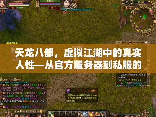 天龙八部，虚拟江湖中的真实人性—从官方服务器到私服的文化折射