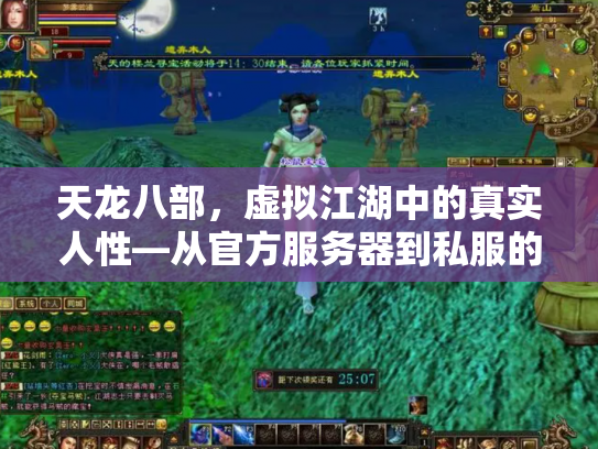 天龙八部，虚拟江湖中的真实人性—从官方服务器到私服的文化折射
