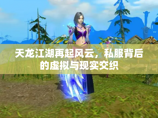 天龙江湖再起风云，私服背后的虚拟与现实交织