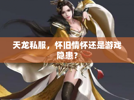 天龙私服，怀旧情怀还是游戏隐患？