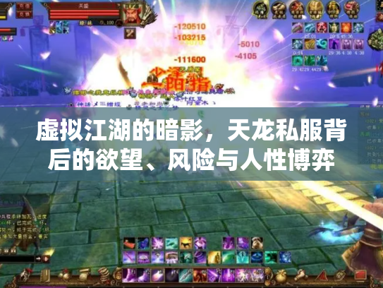 虚拟江湖的暗影，天龙私服背后的欲望、风险与人性博弈