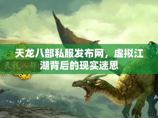 天龙八部私服发布网，虚拟江湖背后的现实迷思