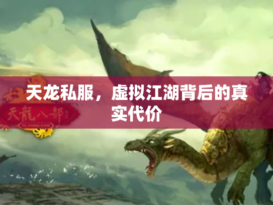 天龙私服，虚拟江湖背后的真实代价