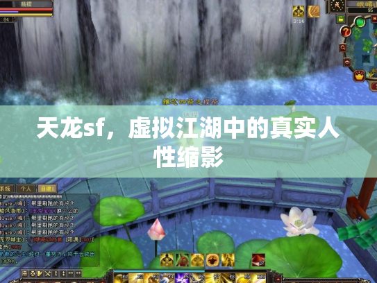 天龙sf，虚拟江湖中的真实人性缩影