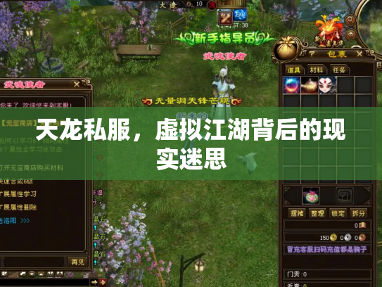 天龙私服，虚拟江湖背后的现实迷思