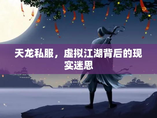 天龙私服，虚拟江湖背后的现实迷思