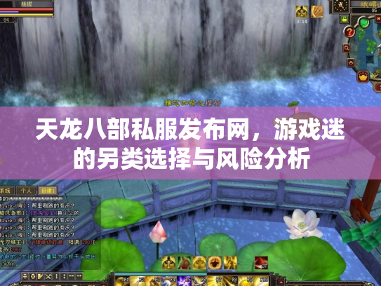 天龙八部私服发布网，游戏迷的另类选择与风险分析