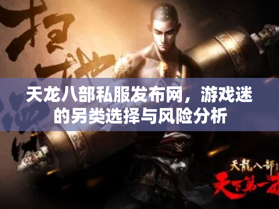 天龙八部私服发布网，游戏迷的另类选择与风险分析