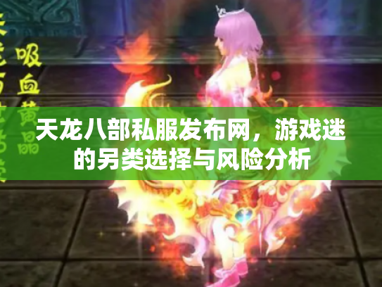 天龙八部私服发布网，游戏迷的另类选择与风险分析