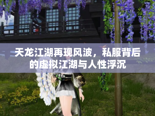 天龙江湖再现风波，私服背后的虚拟江湖与人性浮沉