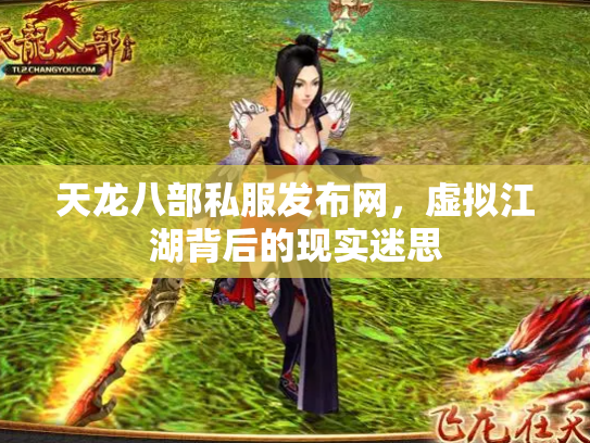 天龙八部私服发布网，虚拟江湖背后的现实迷思
