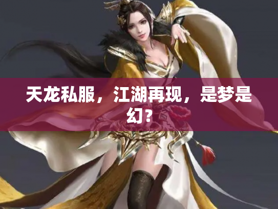 天龙私服，江湖再现，是梦是幻？