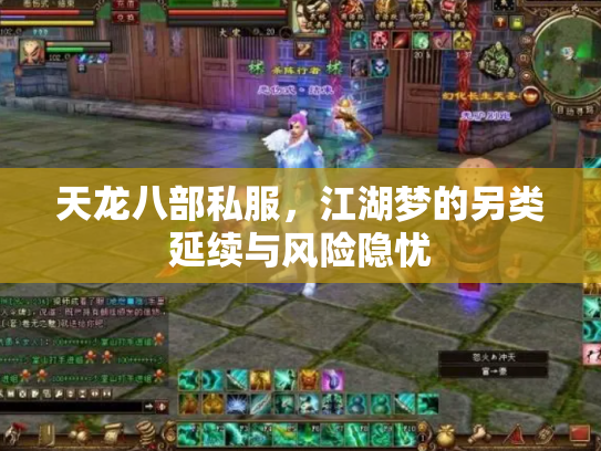 天龙八部私服，江湖梦的另类延续与风险隐忧