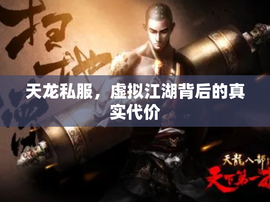 天龙私服，虚拟江湖背后的真实代价