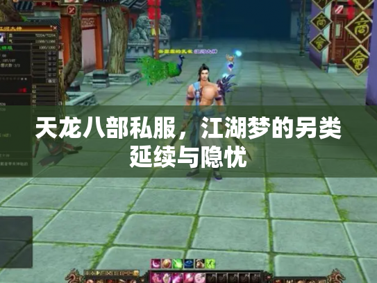 天龙八部私服，江湖梦的另类延续与隐忧