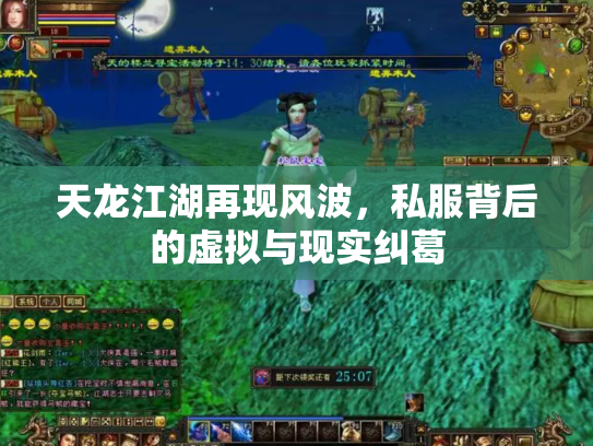 天龙江湖再现风波，私服背后的虚拟与现实纠葛