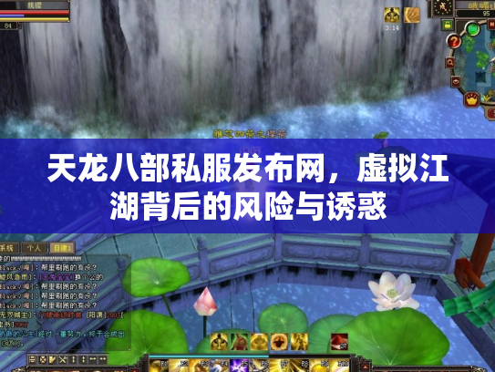 天龙八部私服发布网，虚拟江湖背后的风险与诱惑