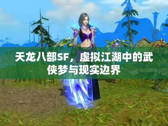 天龙八部SF，虚拟江湖中的武侠梦与现实边界