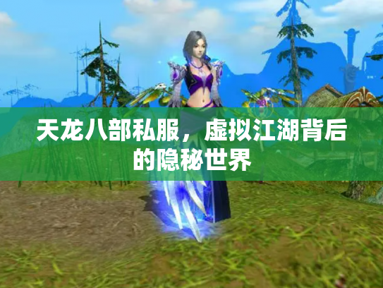 天龙八部私服，虚拟江湖背后的隐秘世界